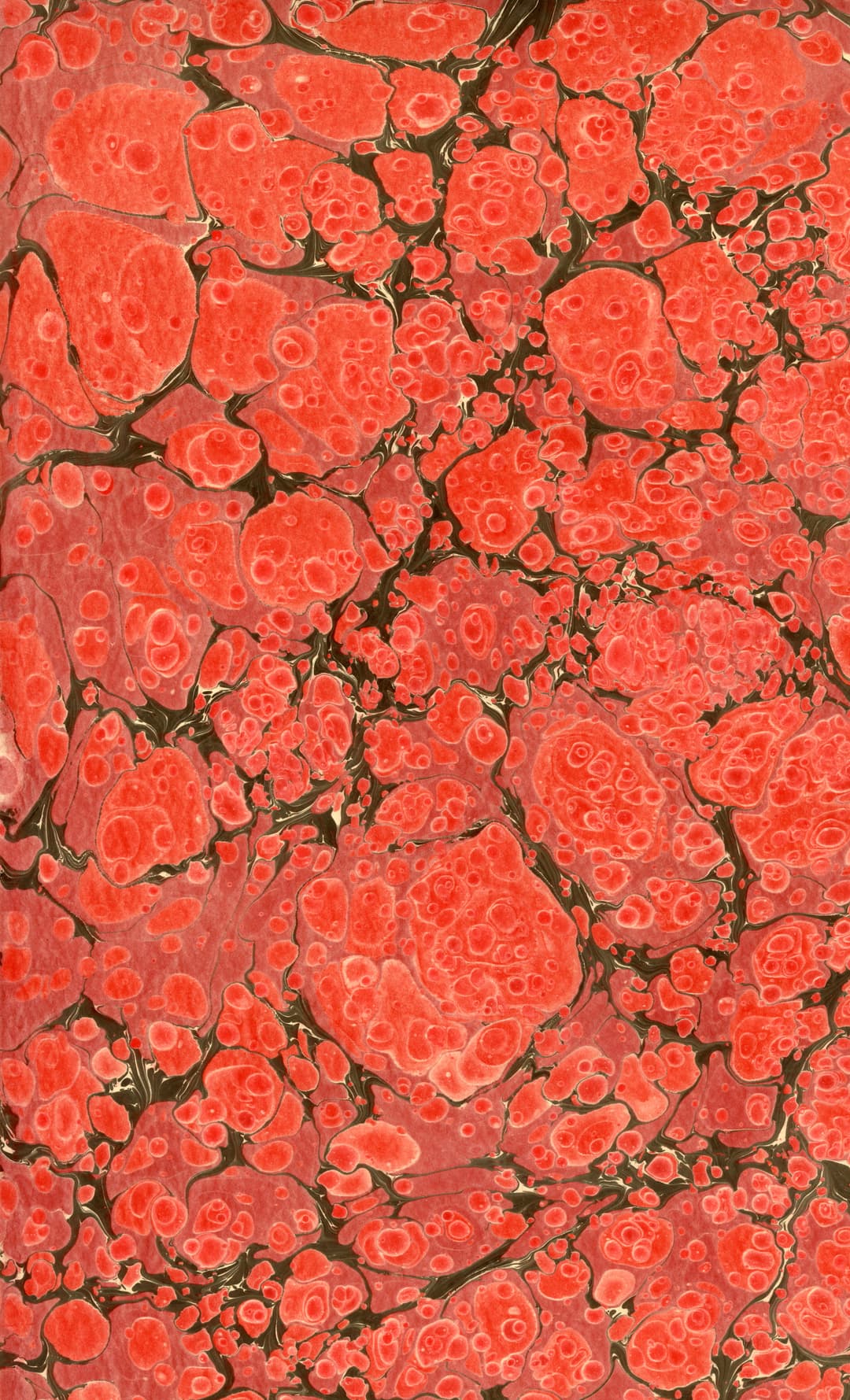 Ebru 10