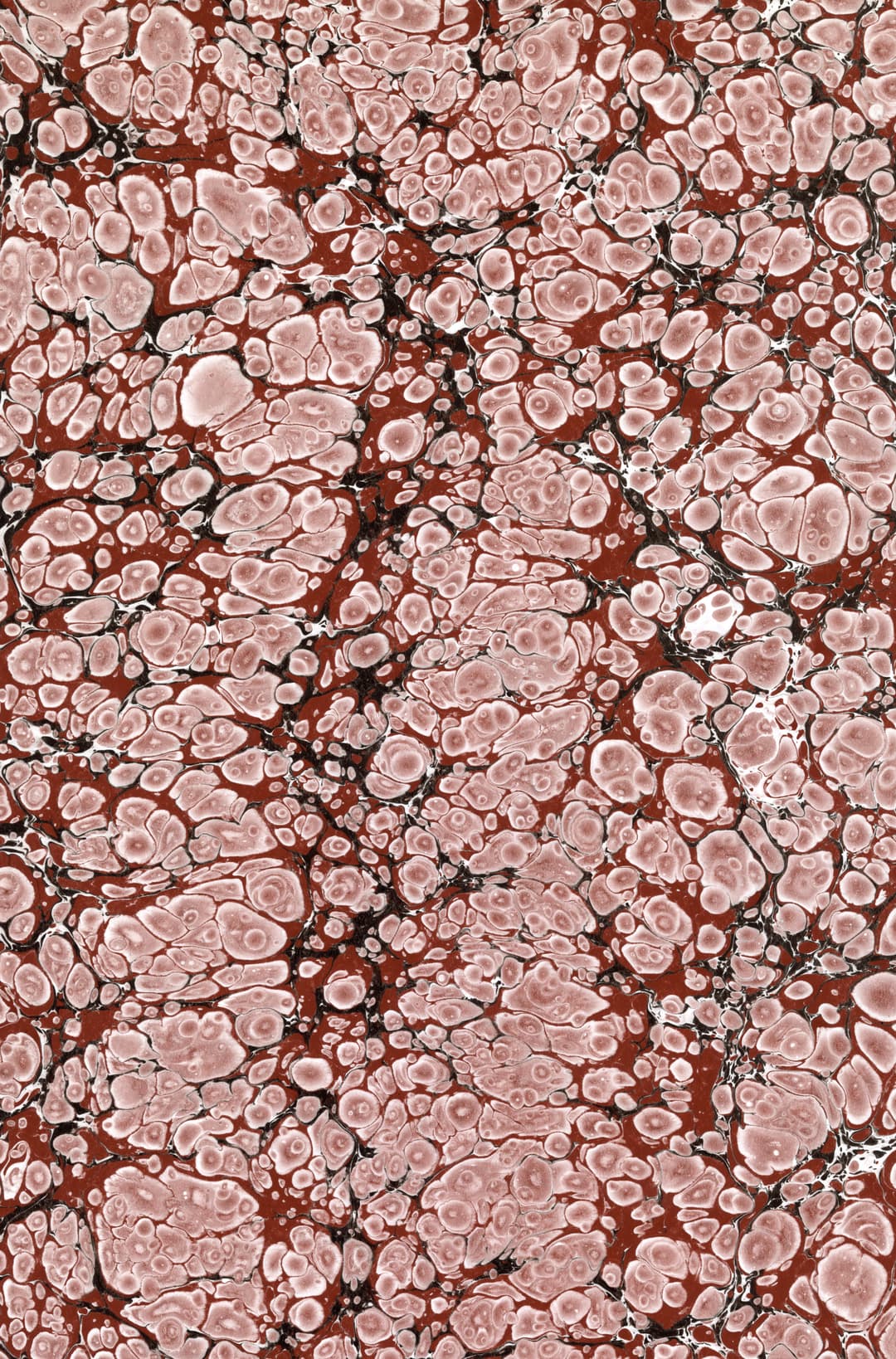 Ebru 6