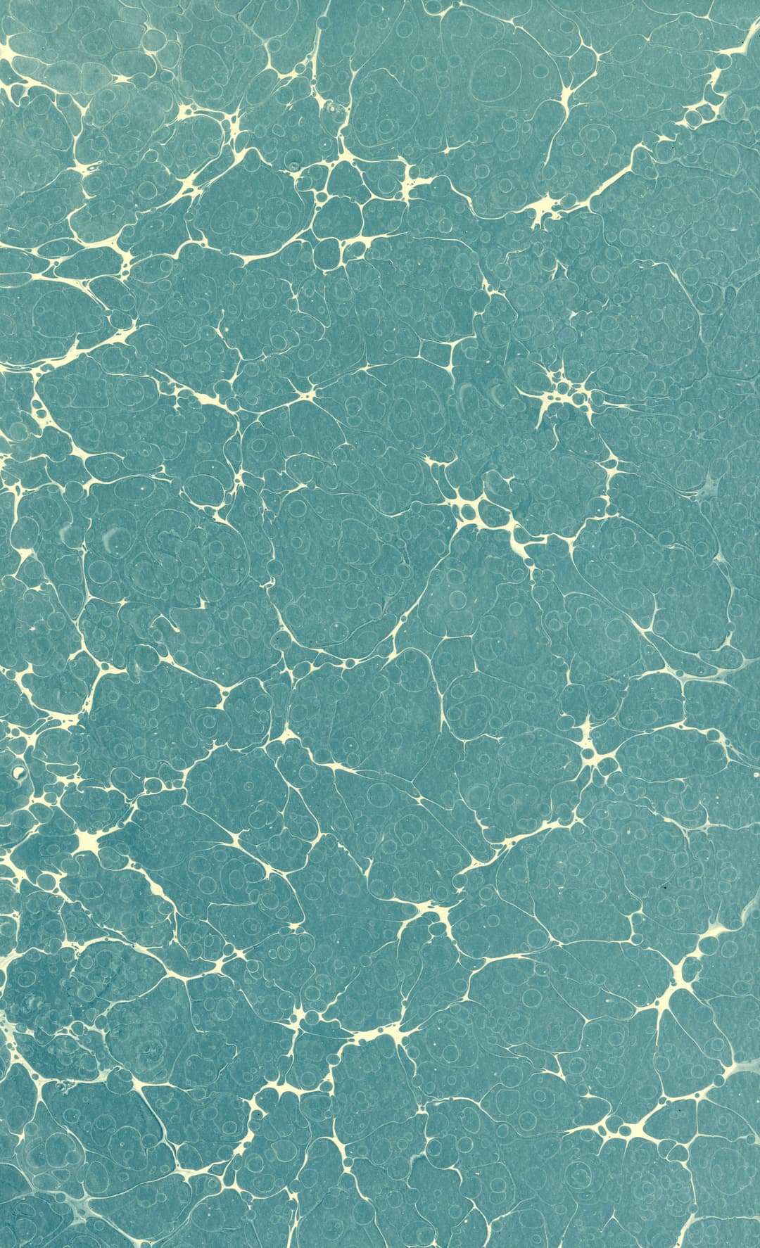 Ebru 8